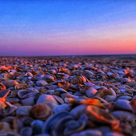 Apartament Im Haus Strandstr 22 Strandlaeufer App 51 , Strandstr 22 *